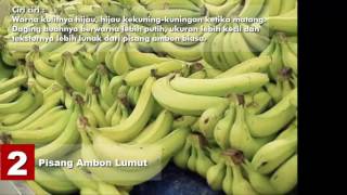 Aneka Jenis PISANG di Indonesia Yang Perlu Kamu Tau