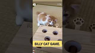 SILLY CAT GAME