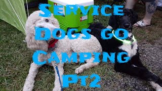 Service Dogs go Camping Pt2