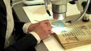 Rare Book Conservator - Career Spotlight