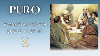 EVANGELHO DO DIA 15/10/2024 - LUCAS 11,37-41 - PURO