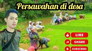 SUASANA PEDESAAN SUNDA | Pandeglang,Banten