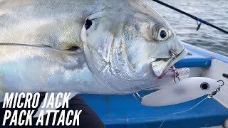 JACKS PACK ATTACK IN TRINIDAD!!