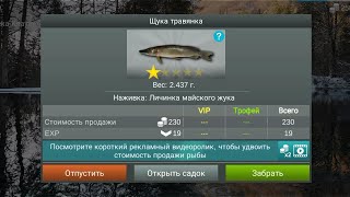 Звуки природы🌿 Пение Птиц🐦 Рыбалка🎣 Река Клаус 🏞️ Отдых На Природе🗺️⛅ Мир Вокруг Нас🌎