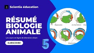 révision générale tt le programme Biologie animale USTHB 🎡🧁1er année SNV (partie 2)