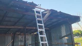 Chicken coop rebuilt after tornado in December.