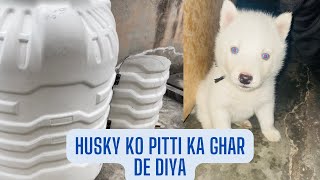 Husky ko pitti ka ghar de diya.