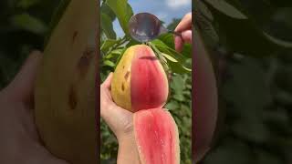 Fresh fruit from farm #fruits #shorts #youtubeshorts #shortvideo