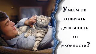 Умеем ли отличать душевность от духовности?