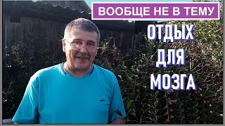 Отдых для мозга / Прогулка по саду-огороду забыв про монеты