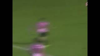 Adem Ljajic goal vs Palermo