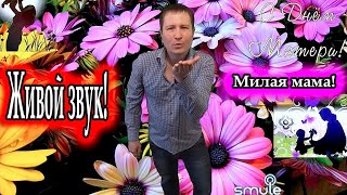 исп. Владимир Need Soul Кузьмин - Мама, милая Мама! (cover version)