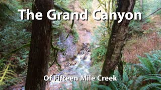 The Grand Canyon - Fifteen Mile Creek Tiger Mountain