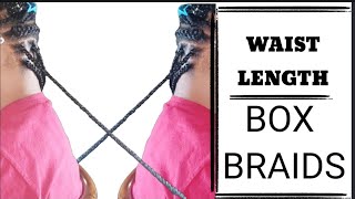 Everyone wants BOXBRAIDS‼️ | LONG / WAIST LENGTH BOX BRAIDS ON NATURAL HAIR