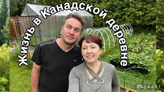 Жизнь в Канадской деревне//халявний компост//осмотр пчёл// наш огород