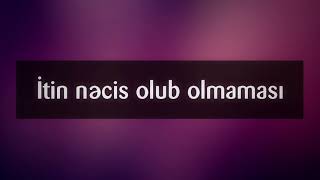 İtin nəcis olub olmaması || Abu Zeyd