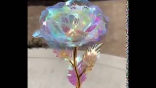 Galaxy rose flower gift