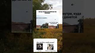 Подпишись! #tiktok #юмор #топ #мем #ответ #duet #подпишись #прикол #роблокс #shorts