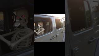 Don't Drive Angry! #shorts #jeep #jeepwrangler #halloween #skeleton #offroad #cantonga