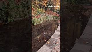 Cheerful spring ⛲️🥰🍁at the Aare -Bern #travel #tourism #bernswitzerland #aareriver #nature #autumn