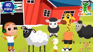 Baa Baa Black Sheep | More Nursery Rhymes | Sing Along Kids Songs | BUBUPiE