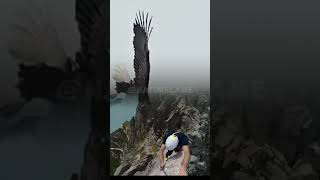 Climbing a cliff accompanied by an eagle #shorts