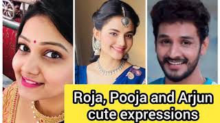 Roja Serial | Roja serial today updates | Roja, Pooja and Arjun latest cute expressions video