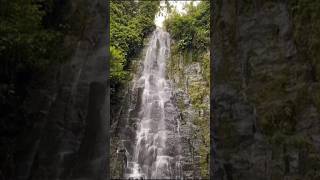 Beautiful Nature - Ciupang Waterfall #shorts #amazing #naturebeauty #naturelovers #lampung