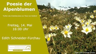 Poesie der Alpenblumen