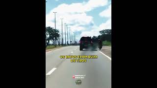 Polícia Do Brasil | "Começaram a disparar respondemos à altura" #edit #pm #brasil