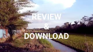 Free Footage Sawah FULL HD