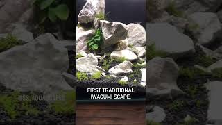 5 gallon Aquascape Preview. Iwagumi video coming soon. #shorts #iwagumi