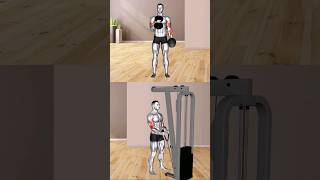 workout arm at home #workout #short