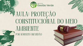 AULÃO: Proteção Constitucional do meio ambiente.