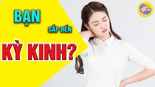 ☘️ Dấu Hiệu Sắp Có Kinh Nguyệt Trước 1 Tuần Đặc Trưng Dễ Nhận Biết Nhất