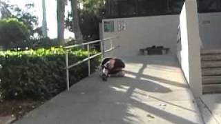 painful parkour fail