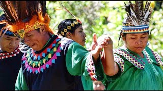 Costumbres que ya se perdieron en la cultura Ngäbe |Lemo Ngäbere