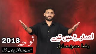 Asghar Main Tere | Raza Hassan | Latest Noha Album 2018-19