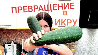 ИКРА КАБАЧКОВАЯ. Рецепт приготовления ИКРЫ. Пальчики оближешь 100% !