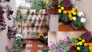 ghar ke entrance ko banaye bahut khubsurat ye plants lagake.Plants for your entrance #indoorplants-2