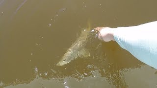 Episode 42 : Winter Time Snook, Redfish, and More Fishing In The Florida Everglades