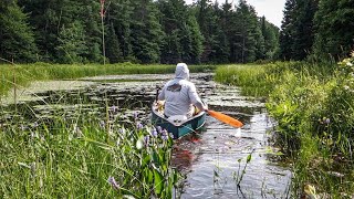 Quiet Wilderness Fly Fishing From A Canoe