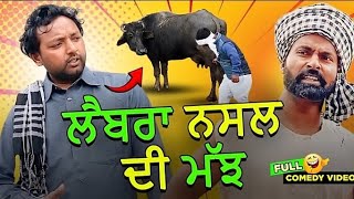 ਲੈਬਰਾ ਨਸਲ ਦੀ ਮੱਝ full comedy | Narinder Sarai funny video 🤣