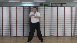 Medical Qigong:  Joints, Swimming Octopus for Wrists