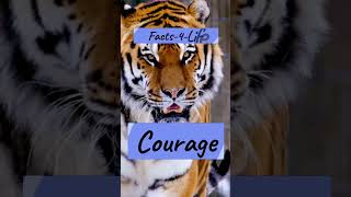 Facts-4-Life - Courage