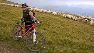 Rumunia na MTB - Munții Șureanu