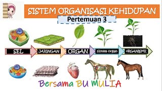 (IPA kelas 7) STRUKTUR ORGANISASI KEHIDUPAN