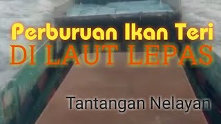 BERBURU IKAN TERI DI LAUT LEPAS