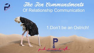 Don't be an ostrich! Communicate! #Shorts