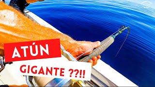 🔥PESCA DE ATUN GIGANTE🔥Combate BRUTALLLLL